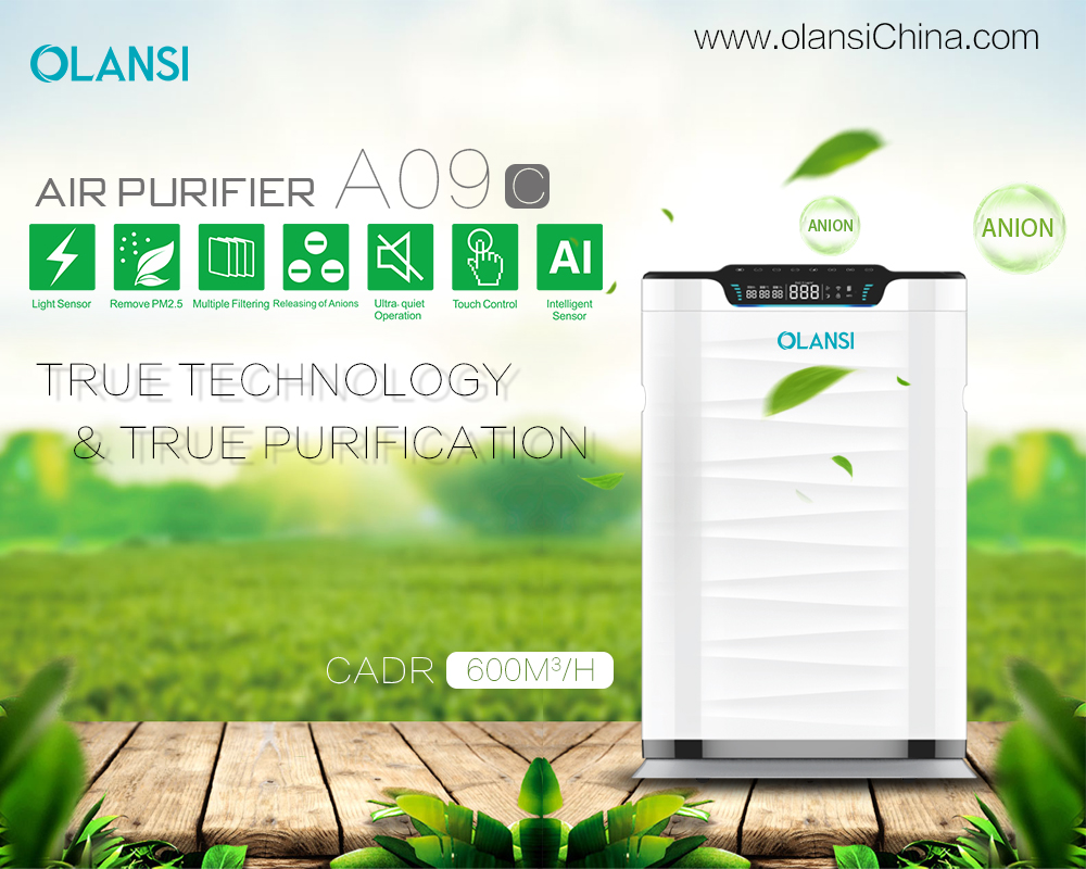 Kina Olansi Air Purifier Producent (70)