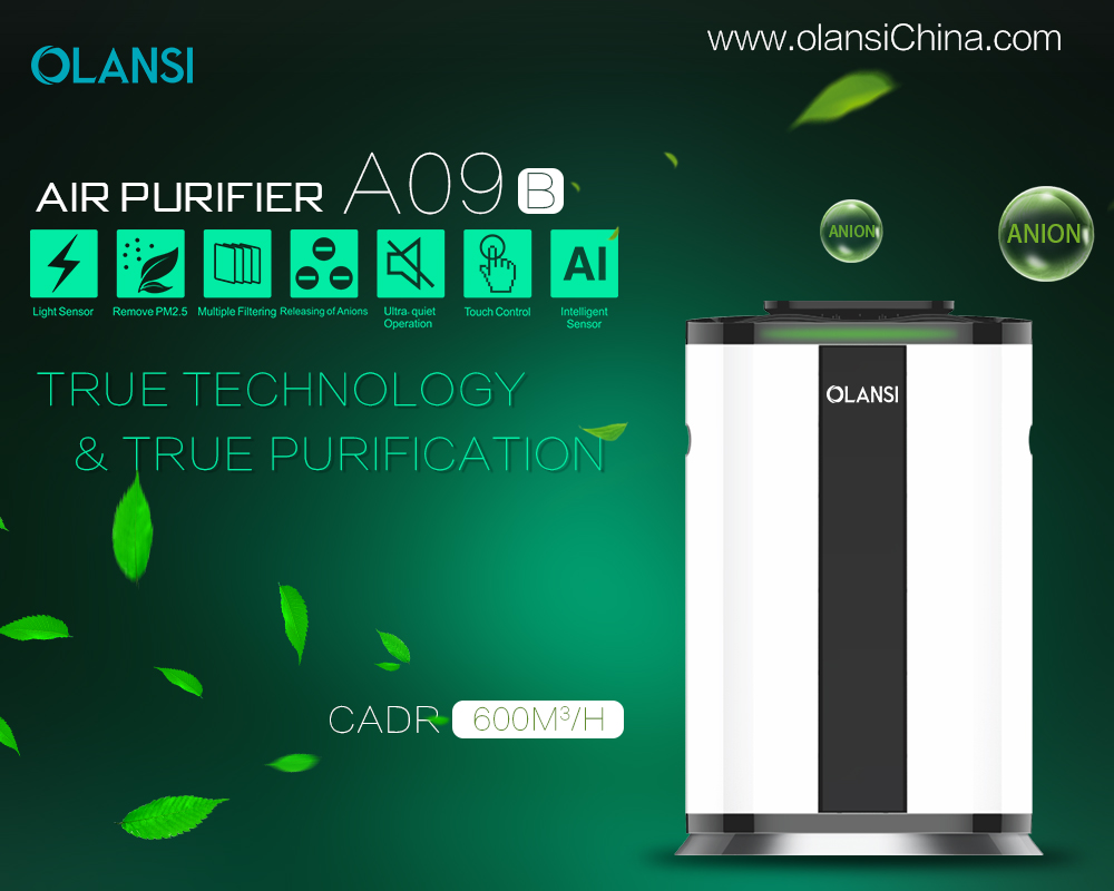 Kina Olansi Air Purifier Producent (68)